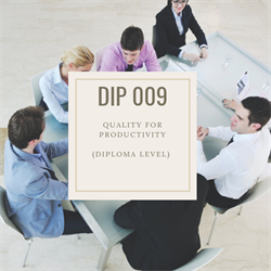 DIP 009 Quality for Productivity (Lean)